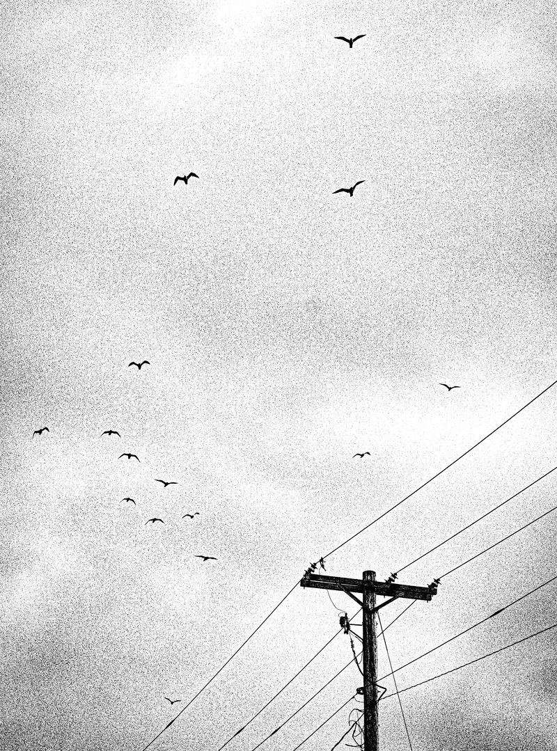 © Jason Own - Where the Living Ends Gently by Jason Own