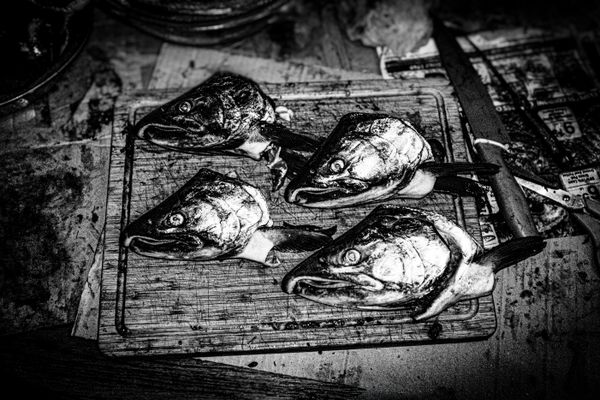 © Jason Own - Where the Living Ends Gently by Jason Own