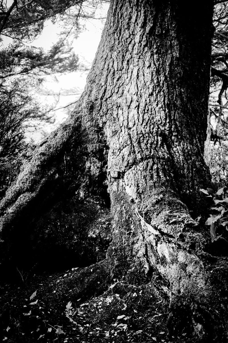 © Jason Own - Where the Living Ends Gently by Jason Own