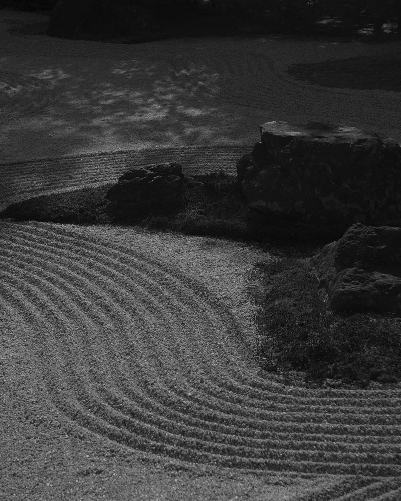 © Georgia Mulholland - Image from the Echoes photography project