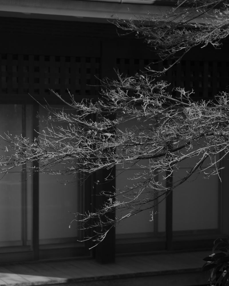 © Georgia Mulholland - Image from the Echoes photography project