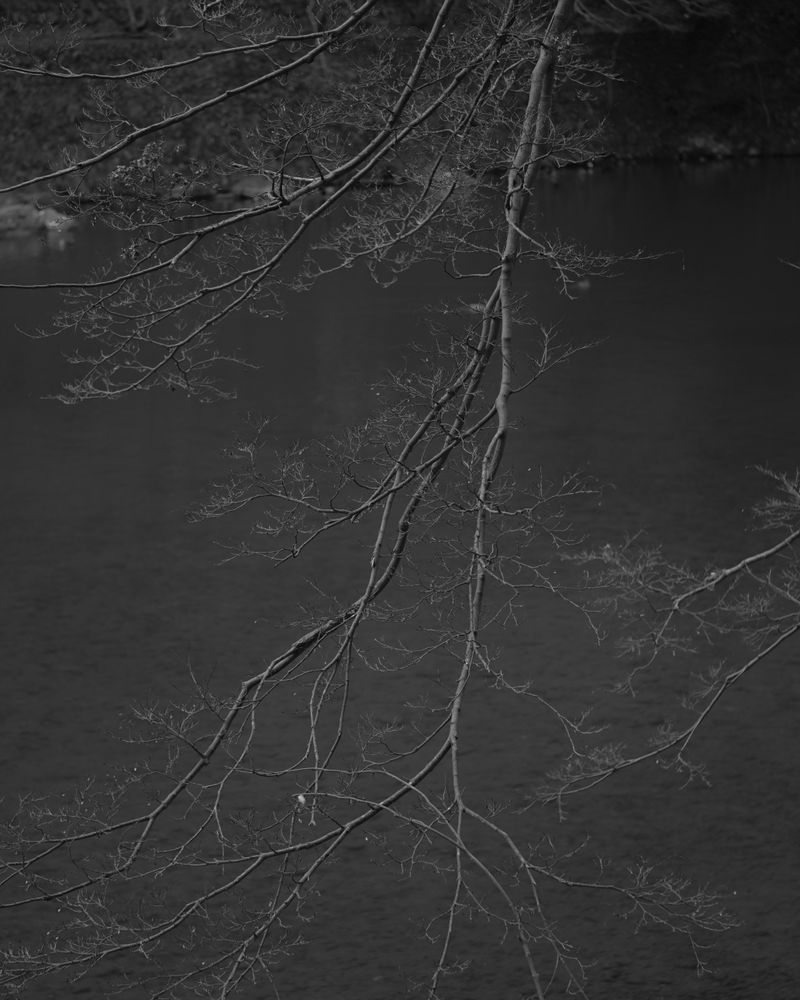 © Georgia Mulholland - Image from the Echoes photography project