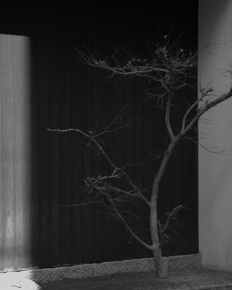 © Georgia Mulholland - Image from the Echoes photography project