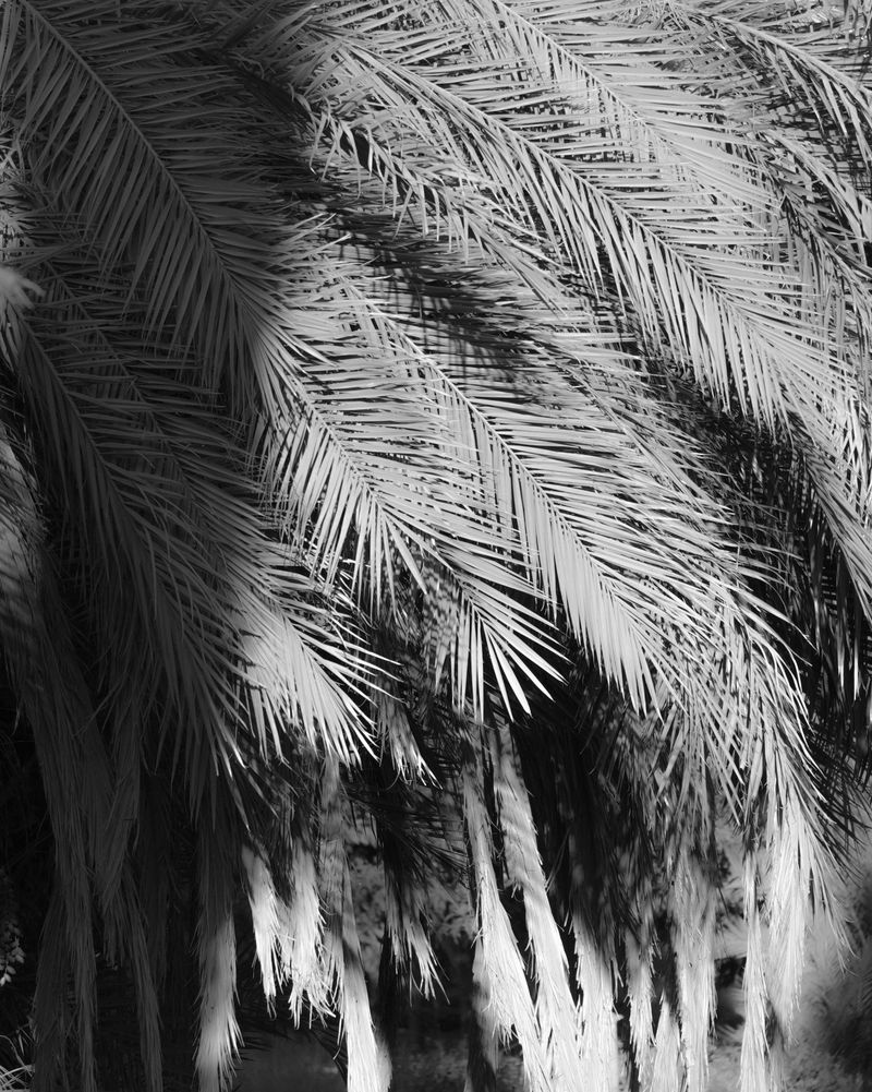 © Georgia Mulholland - Image from the Life by the Nile photography project