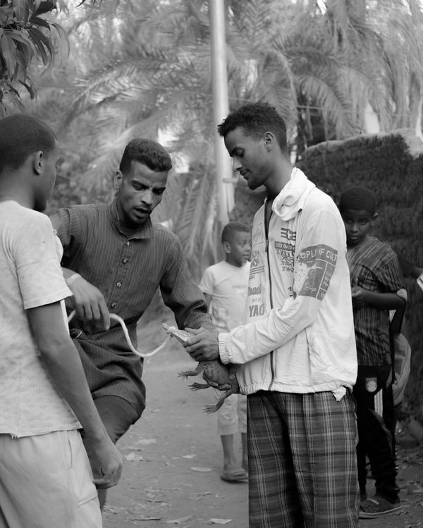 © Georgia Mulholland - Image from the Life by the Nile photography project