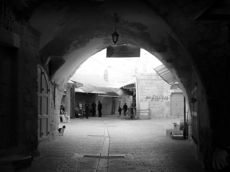 © Georgia Mulholland - Image from the It's Your Head That Bleeds photography project