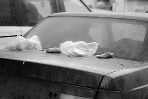 It's Your Head That Bleeds