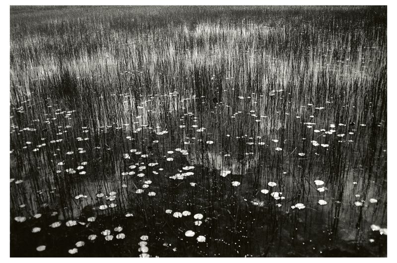 © Hannah Edelman - Image from the A Fever Called Home photography project