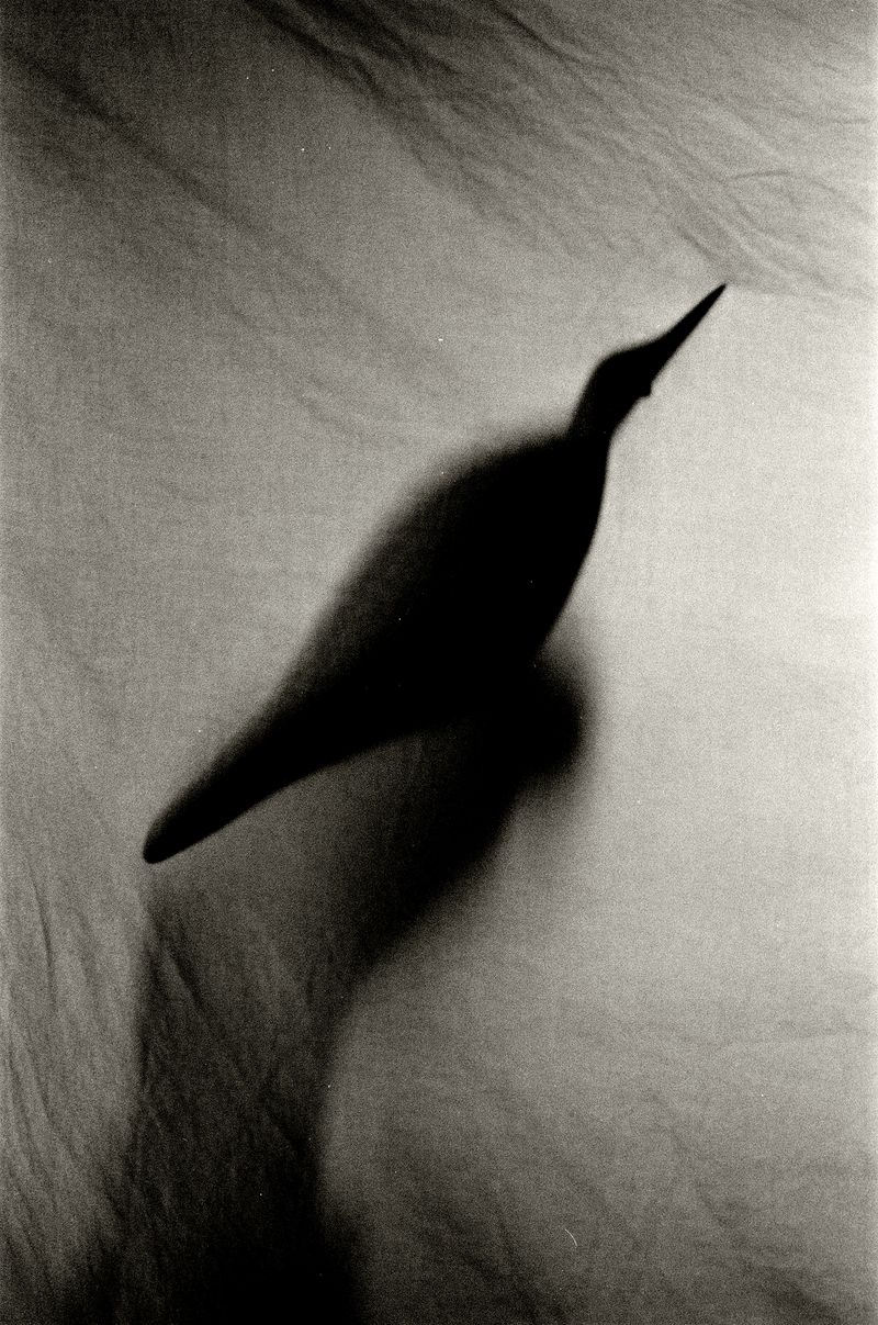 © Hannah Edelman - Image from the A Fever Called Home photography project