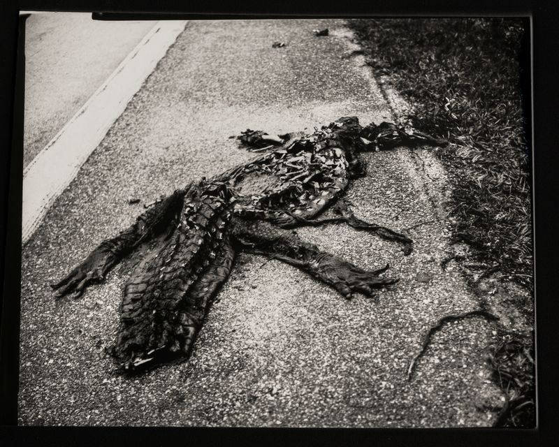 © Hannah Edelman - Image from the A Fever Called Home photography project