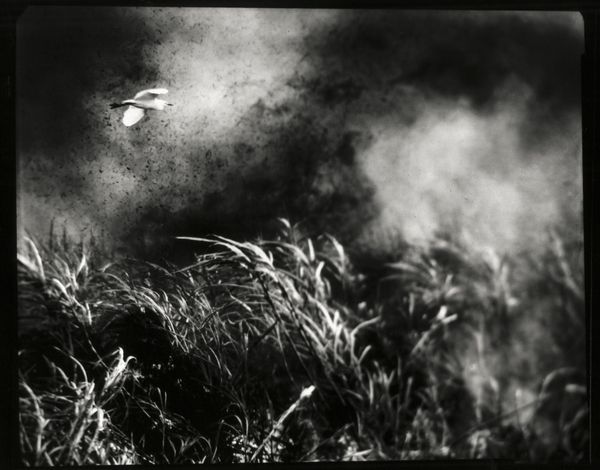 © Hannah Edelman - Image from the A Fever Called Home photography project