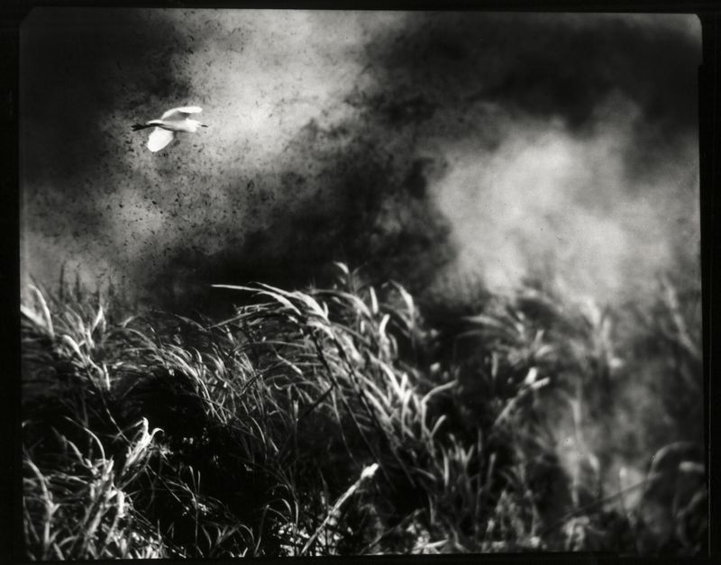 © Hannah Edelman - Image from the A Fever Called Home photography project