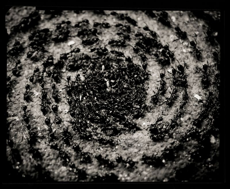© Hannah Edelman - Image from the A Fever Called Home photography project