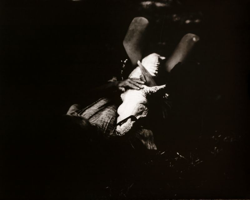 © Hannah Edelman - Image from the A Fever Called Home photography project