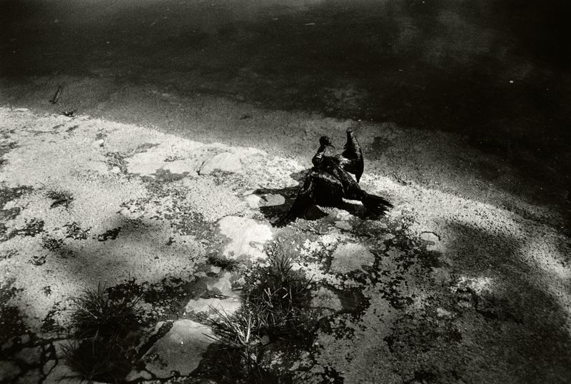 © Hannah Edelman - Image from the A Fever Called Home photography project