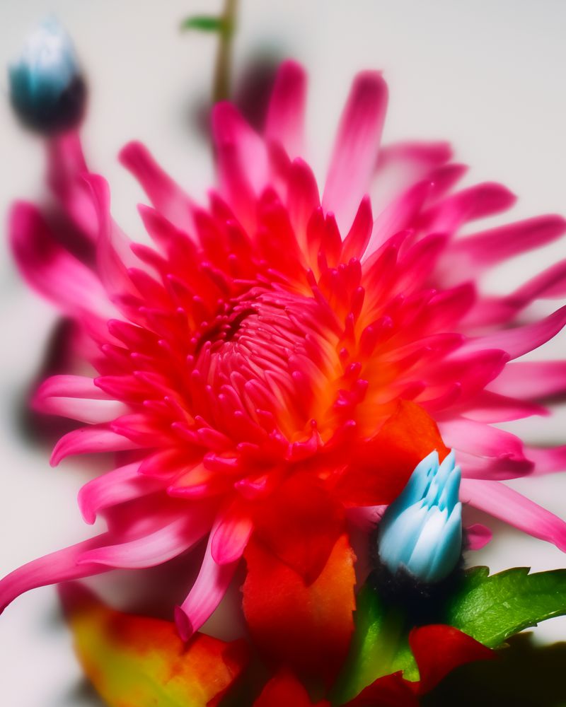 © Narantsetseg Khuyagaa - Image from the A GIRL FROM THAT TOWN photography project