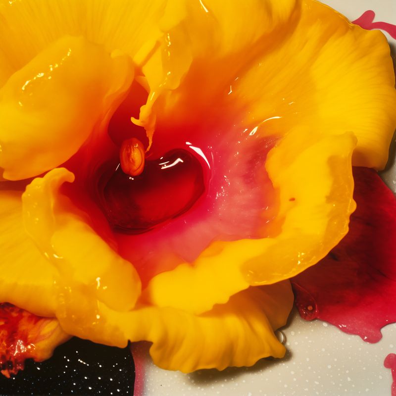 © Narantsetseg Khuyagaa - Image from the A GIRL FROM THAT TOWN photography project