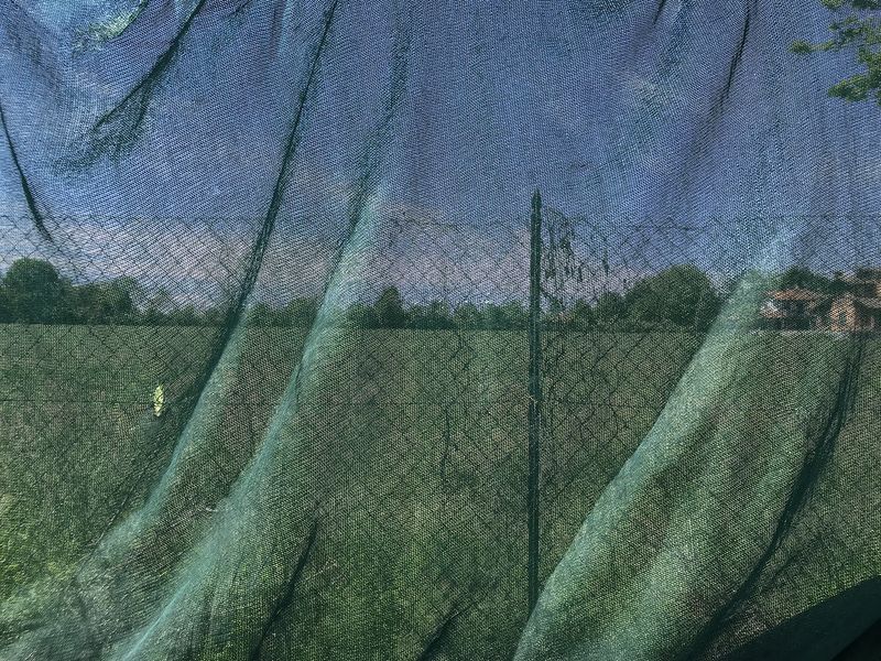 © Ippolita Valentinetti - Image from the A Garden of Suffering photography project