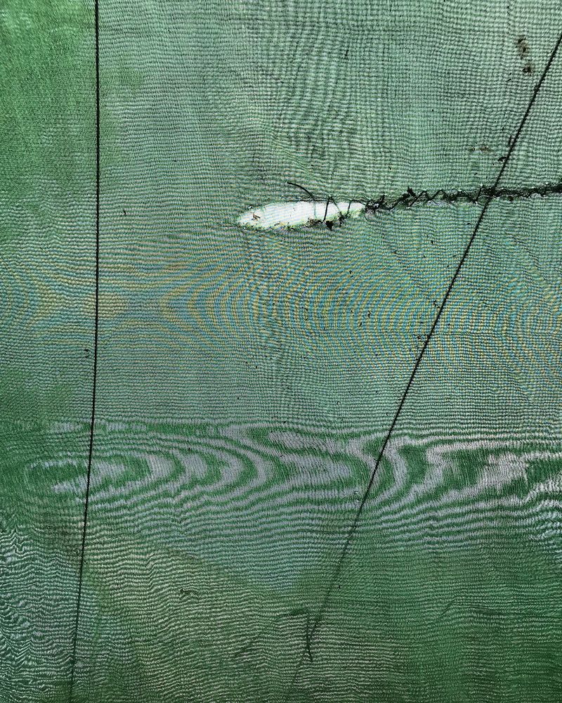 © Ippolita Valentinetti - Image from the A Garden of Suffering photography project