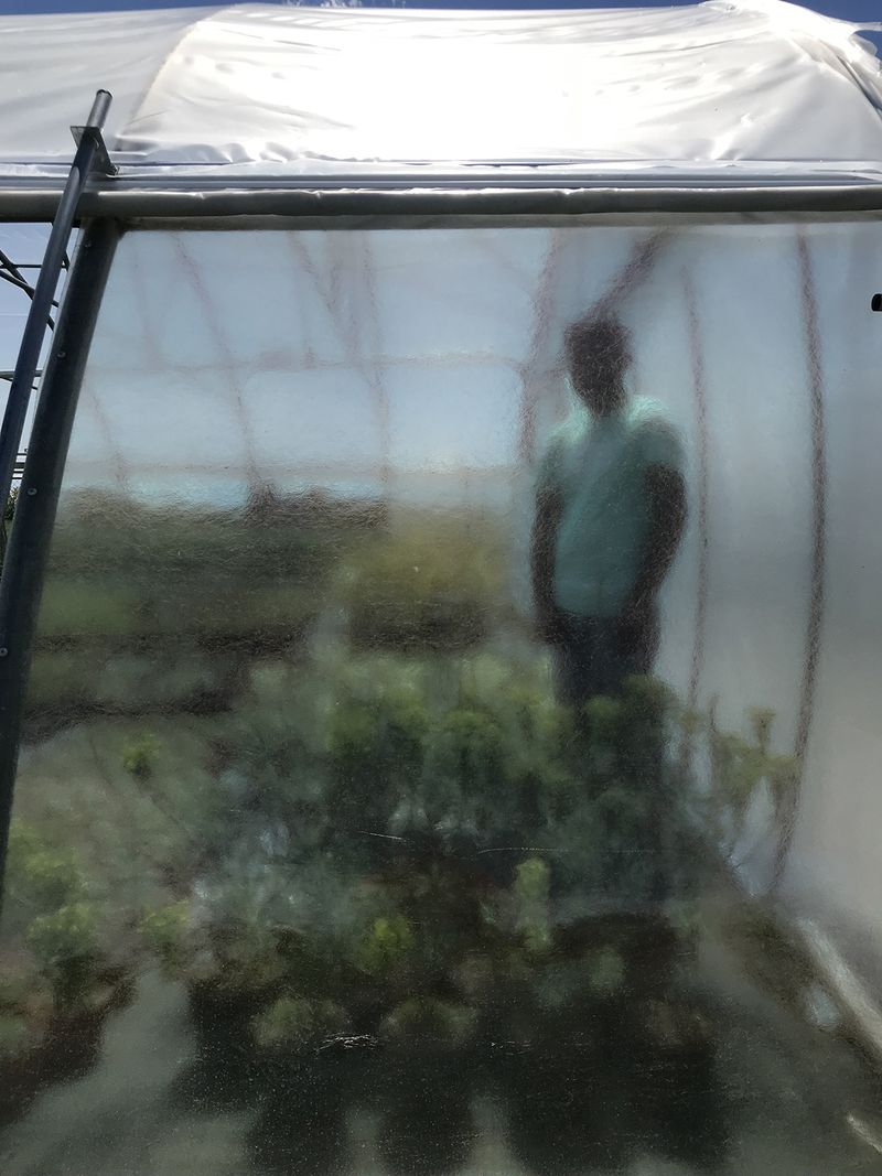 © Ippolita Valentinetti - Image from the A Garden of Suffering photography project