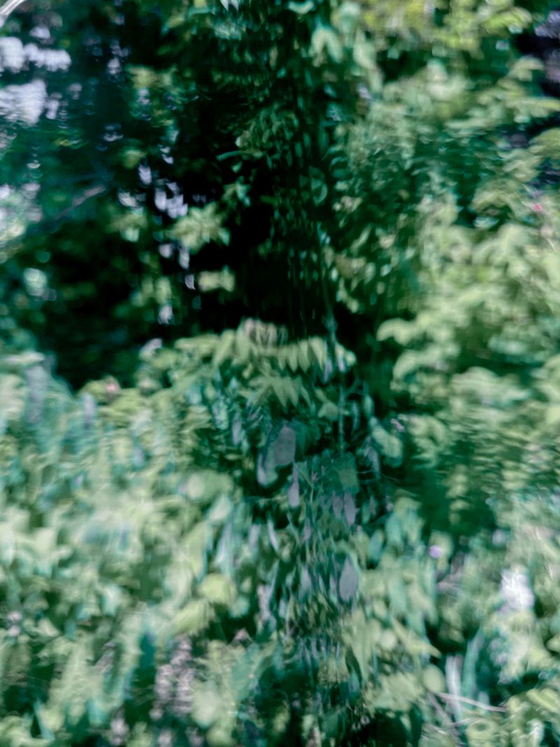 © Ippolita Valentinetti - Image from the A Garden of Suffering photography project