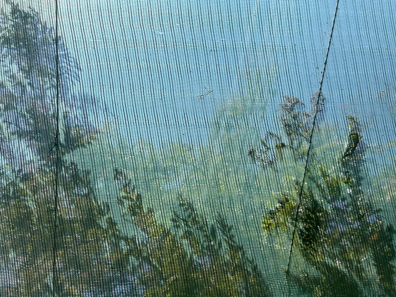© Ippolita Valentinetti - Image from the A Garden of Suffering photography project