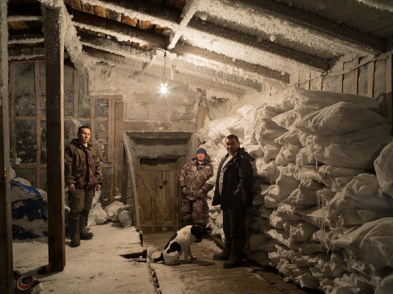 © charles xelot - Workers in an ice cave in front of bag full of fishes.