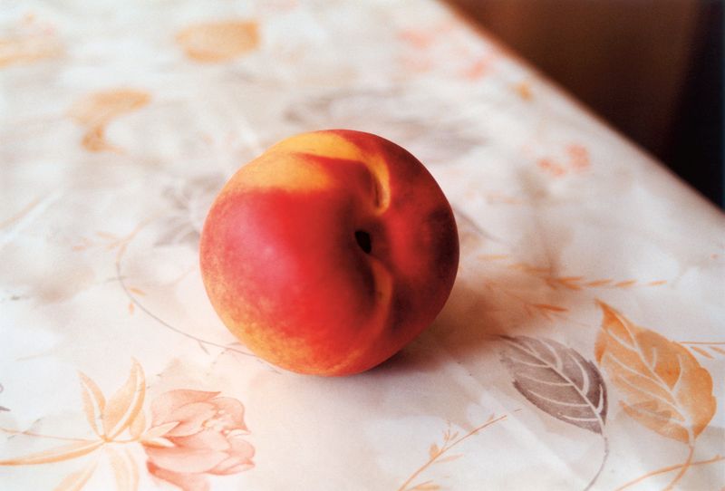 Image from a project on PhMuseum