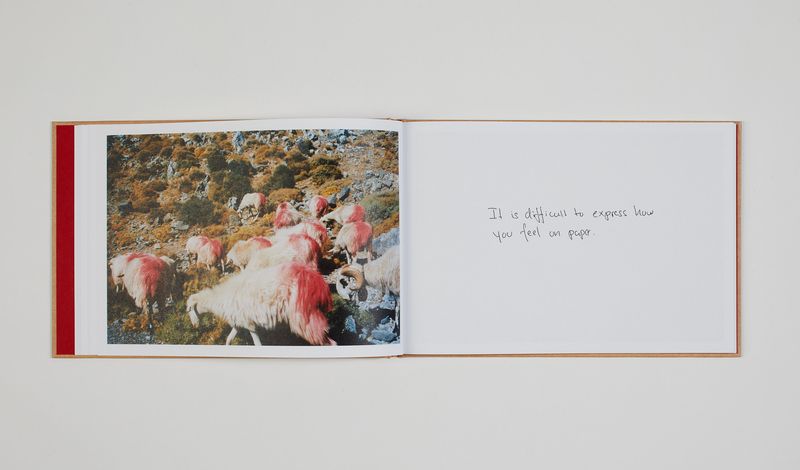 Image from a project on PhMuseum