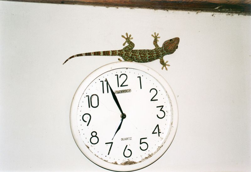 Image from a project on PhMuseum