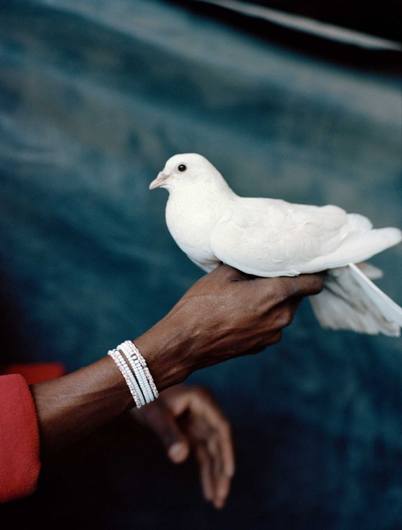 © André Viking - Image from the Kekulé's Dream photography project