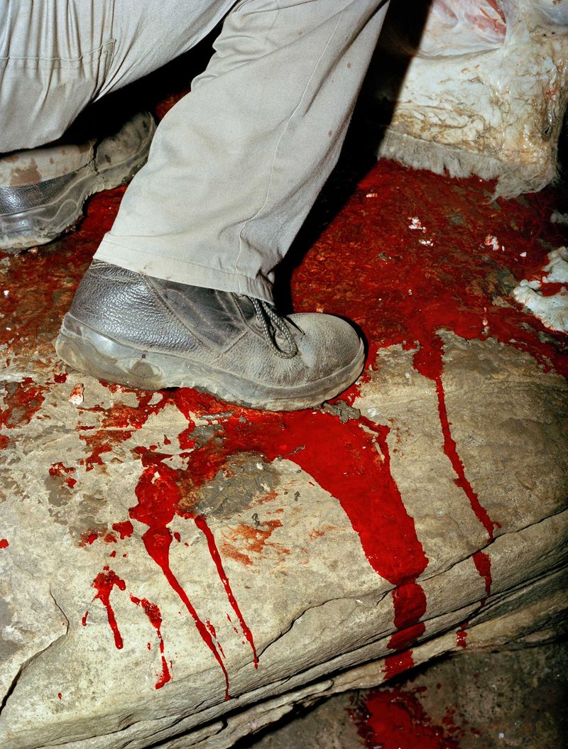 © André Viking - Image from the Kekulé's Dream photography project