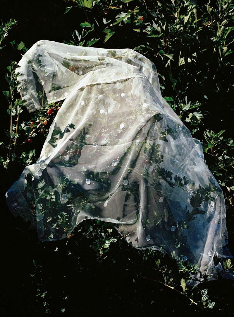 © Rabea Edel - Image from the A Second Beating Heart photography project