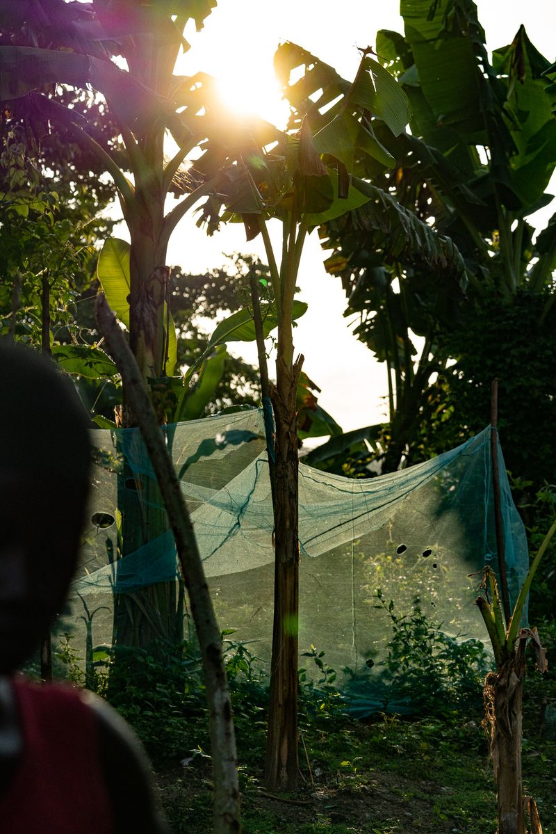 © Carolin Hirschfeld - Image from the Beyond Cocoa photography project
