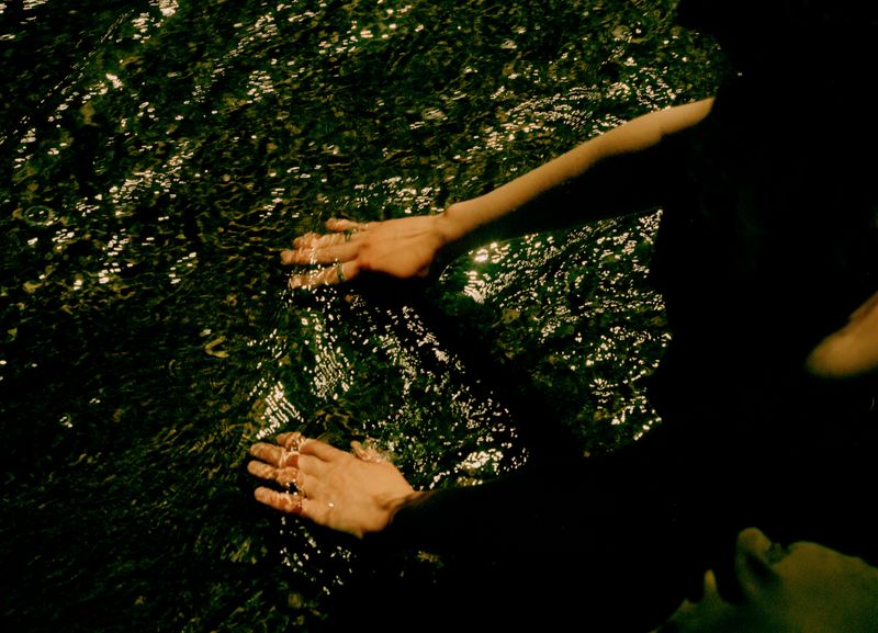 © Nur Guzeldere - Image from the Mullholland Wildflower Preserve photography project