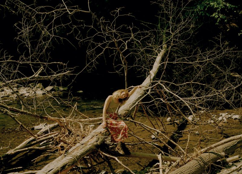 © Nur Guzeldere - Image from the Mullholland Wildflower Preserve photography project