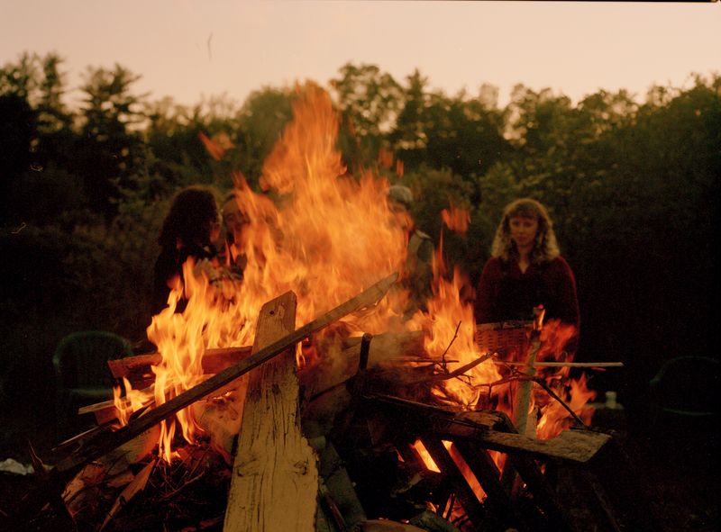 © Nur Guzeldere - Image from the Mullholland Wildflower Preserve photography project