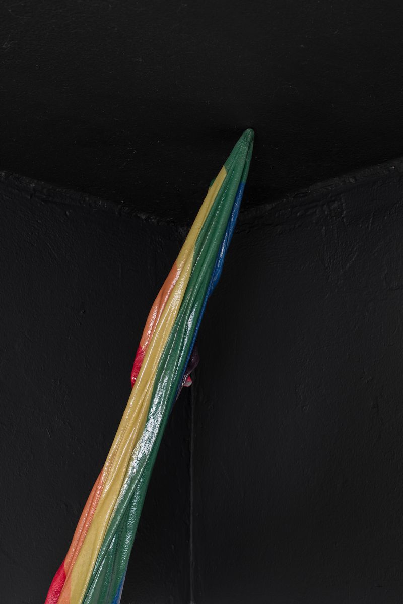 © Tiago Coelho - Photograph printed on fabric and hardened with resin. 17cmx25cmx93cm