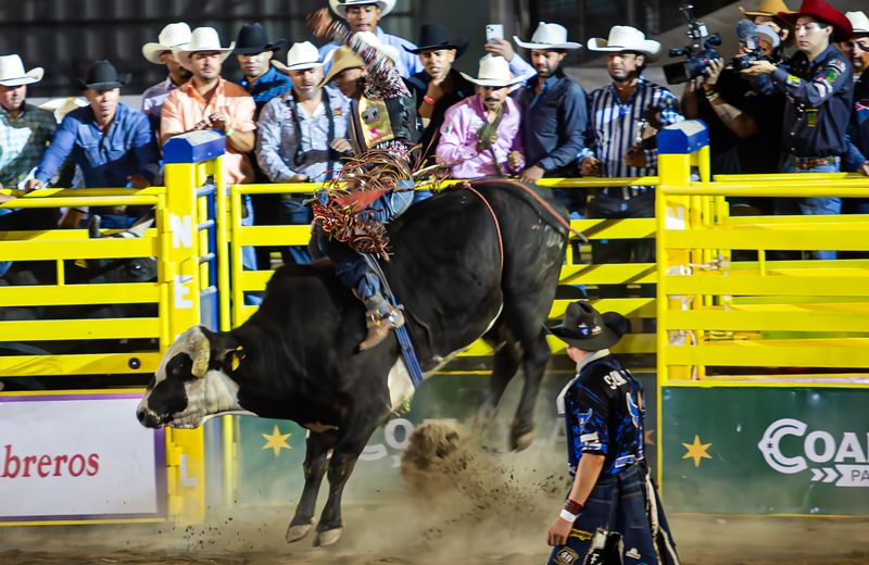 © VICENTE BERLANGA - Image from the IDENTITY photography project