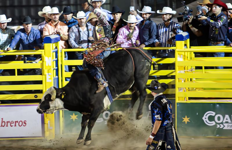 © VICENTE BERLANGA - Image from the IDENTITY photography project