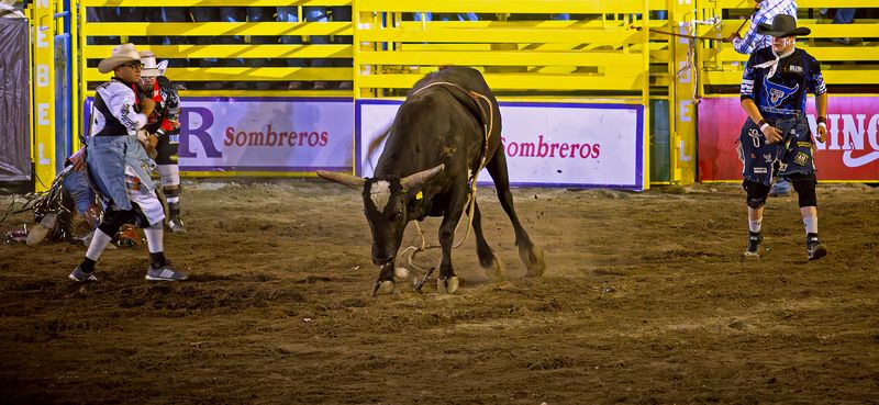 © VICENTE BERLANGA - Image from the IDENTITY photography project