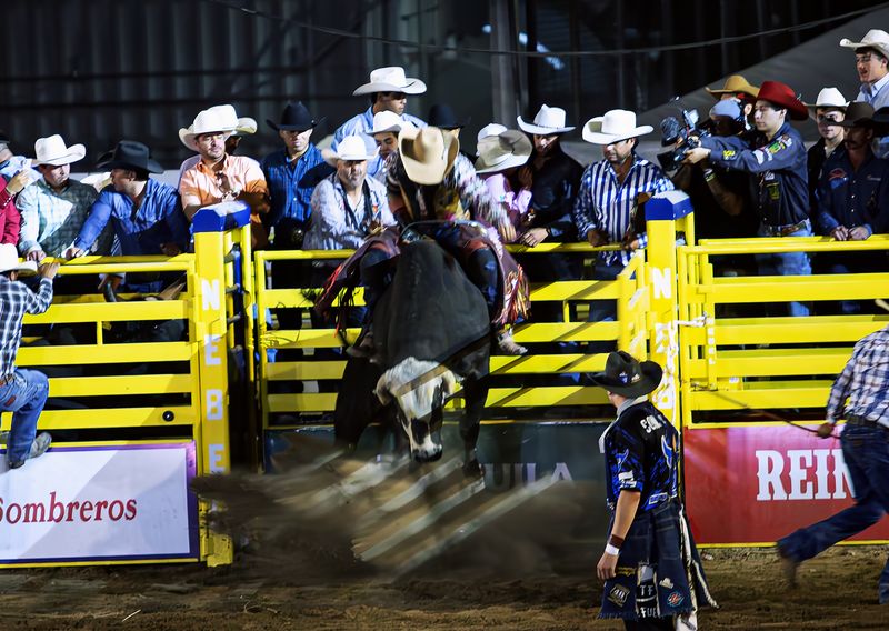 © VICENTE BERLANGA - Image from the IDENTITY photography project