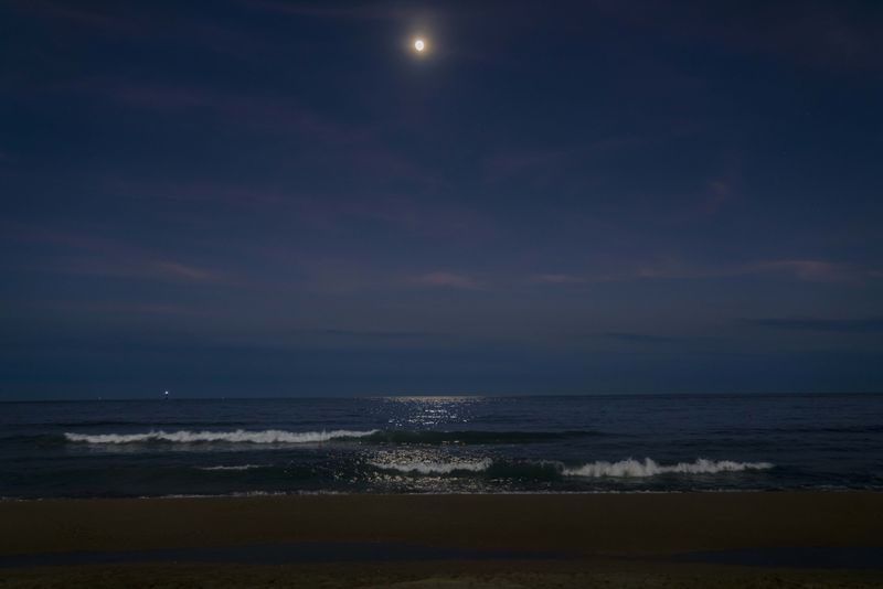 © ines lee - Image from the This fish that eagers to fly photography project