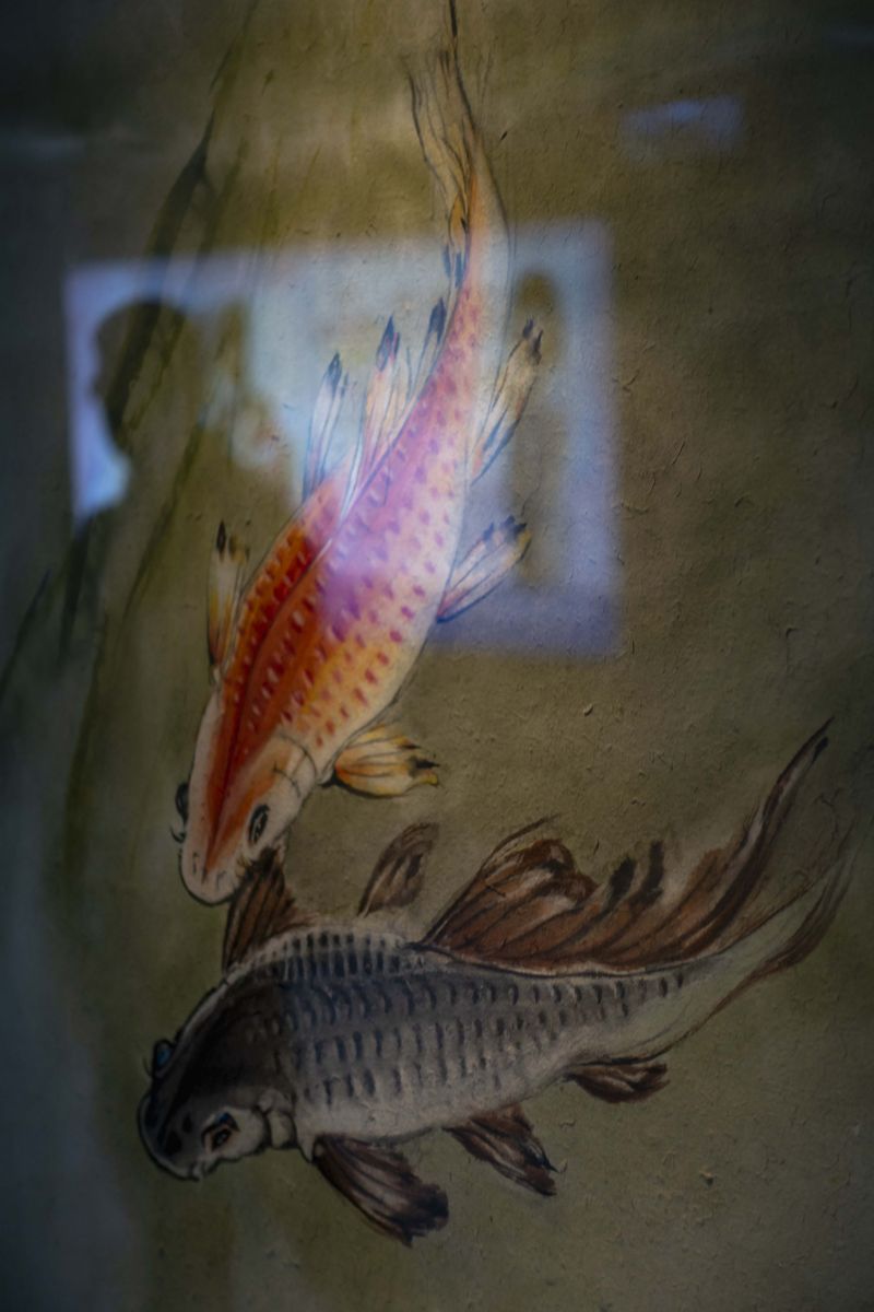 © ines lee - Image from the This fish that eagers to fly photography project