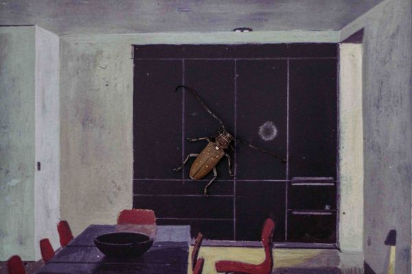 © Thasil Suhara Backer - Image from the Unsettling Unknowing photography project