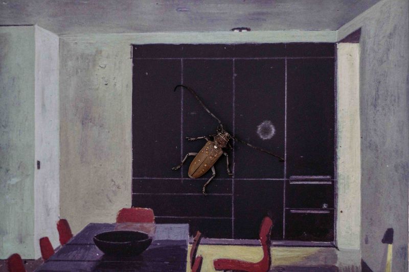 © Thasil Suhara Backer - Image from the Unsettling Unknowing photography project