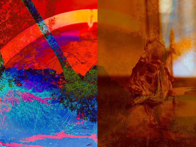© Thasil Suhara Backer - Image from the Third Bodies: Unsettling Natures in Posthuman Ecologies photography project