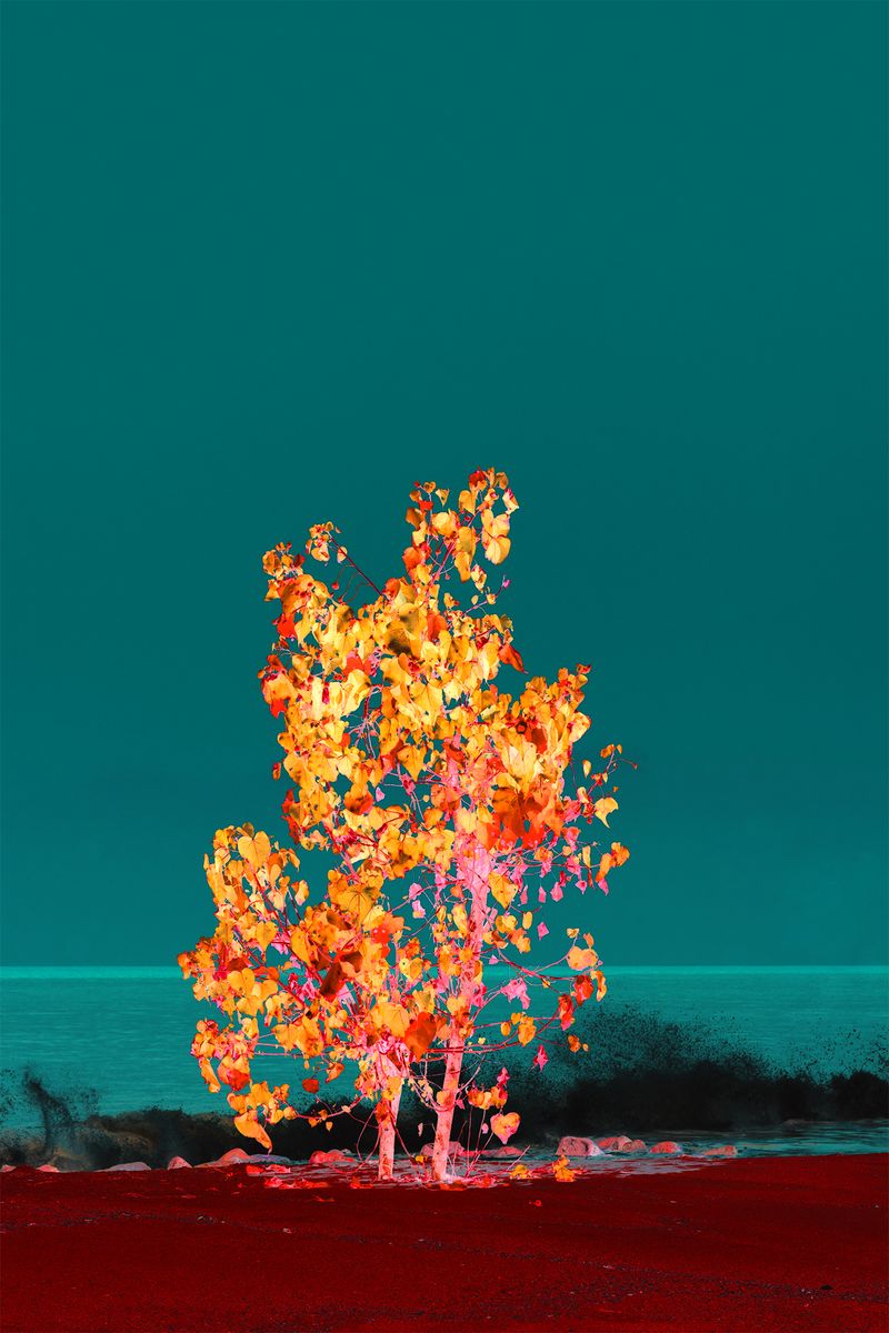 © Thasil Suhara Backer - Image from the Third Bodies: Unsettling Natures in Posthuman Ecologies photography project
