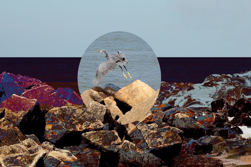 © Thasil Suhara Backer - Image from the Third Bodies: Unsettling Natures in Posthuman Ecologies photography project