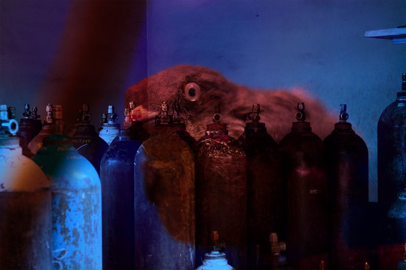 © Thasil Suhara Backer - Image from the Third Bodies: Unsettling Natures in Posthuman Ecologies photography project